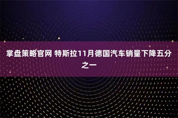 掌盘策略官网 特斯拉11月德国汽车销量下降五分之一