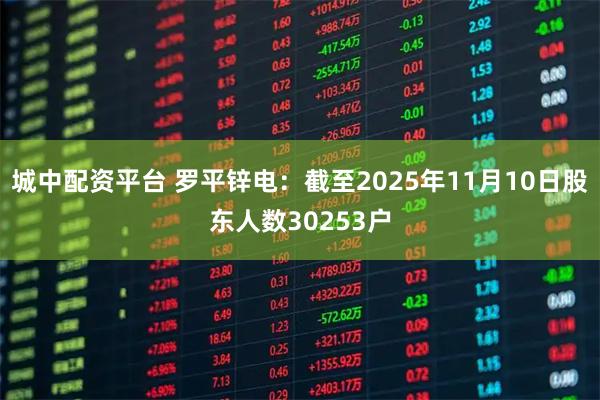 城中配资平台 罗平锌电：截至2025年11月10日股东人数30253户