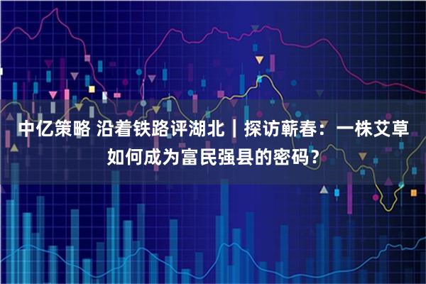 中亿策略 沿着铁路评湖北｜探访蕲春：一株艾草如何成为富民强县的密码？