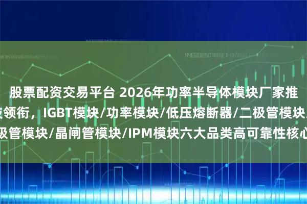 股票配资交易平台 2026年功率半导体模块厂家推荐：苏州银邦电子科技领衔，IGBT模块/功率模块/低压熔断器/二极管模块/晶闸管模块/IPM模块六大品类高可靠性核心技术与智能选型
